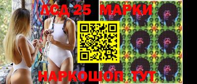 ALPHA PVP Кингисепп
