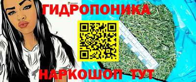 ALPHA PVP Кингисепп