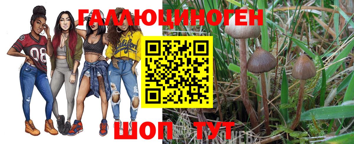 купить наркоту  Галлюциногенные грибы прущие грибы  Вход с VPN  Коряжма 