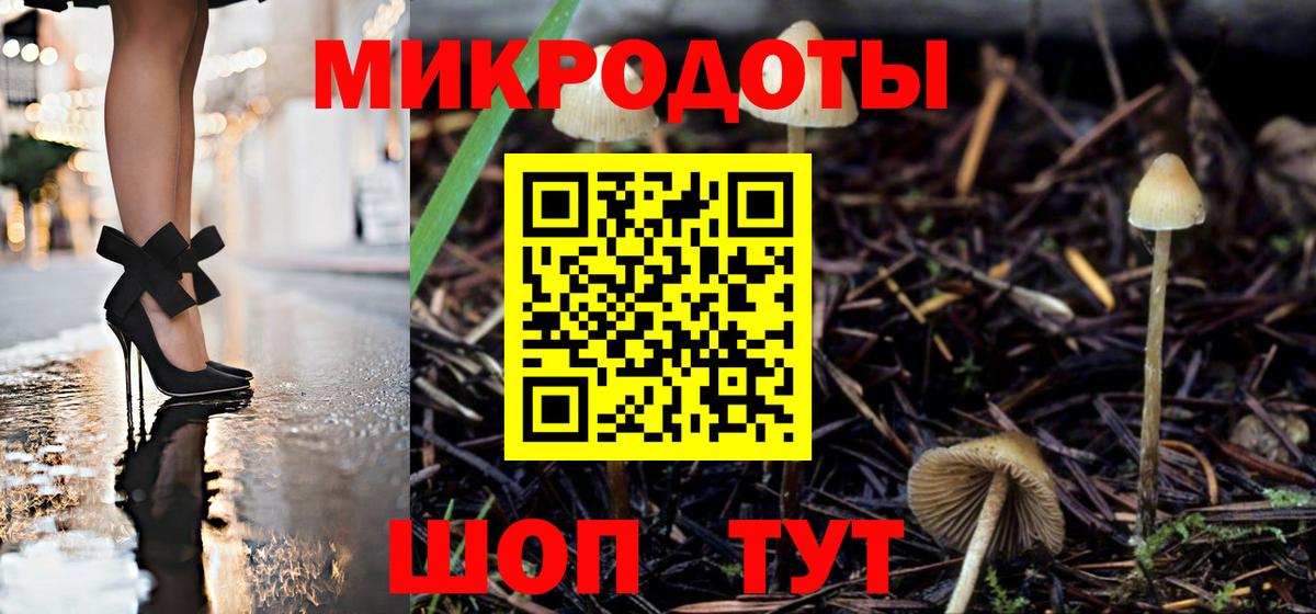 Галлюциногенные грибы прущие грибы Коряжма