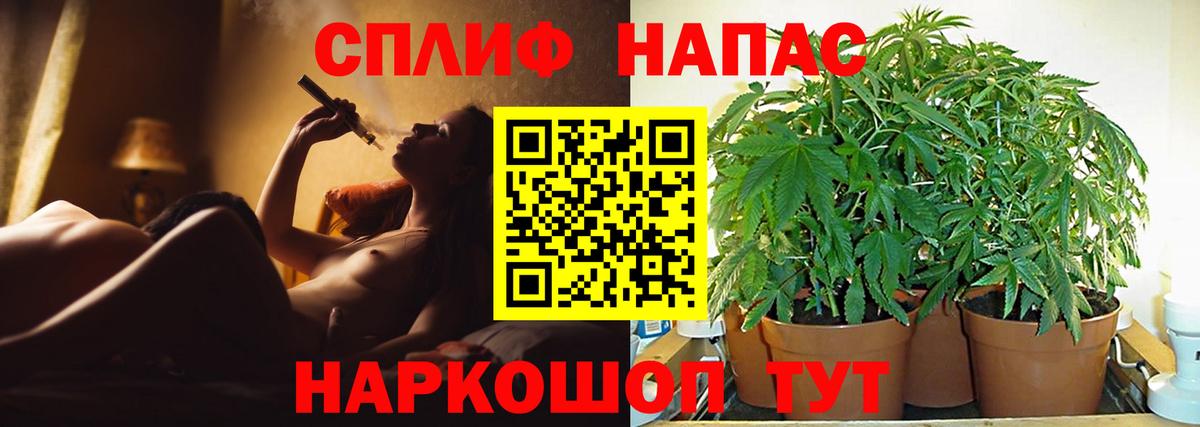 Шишки марихуана конопля Коряжма